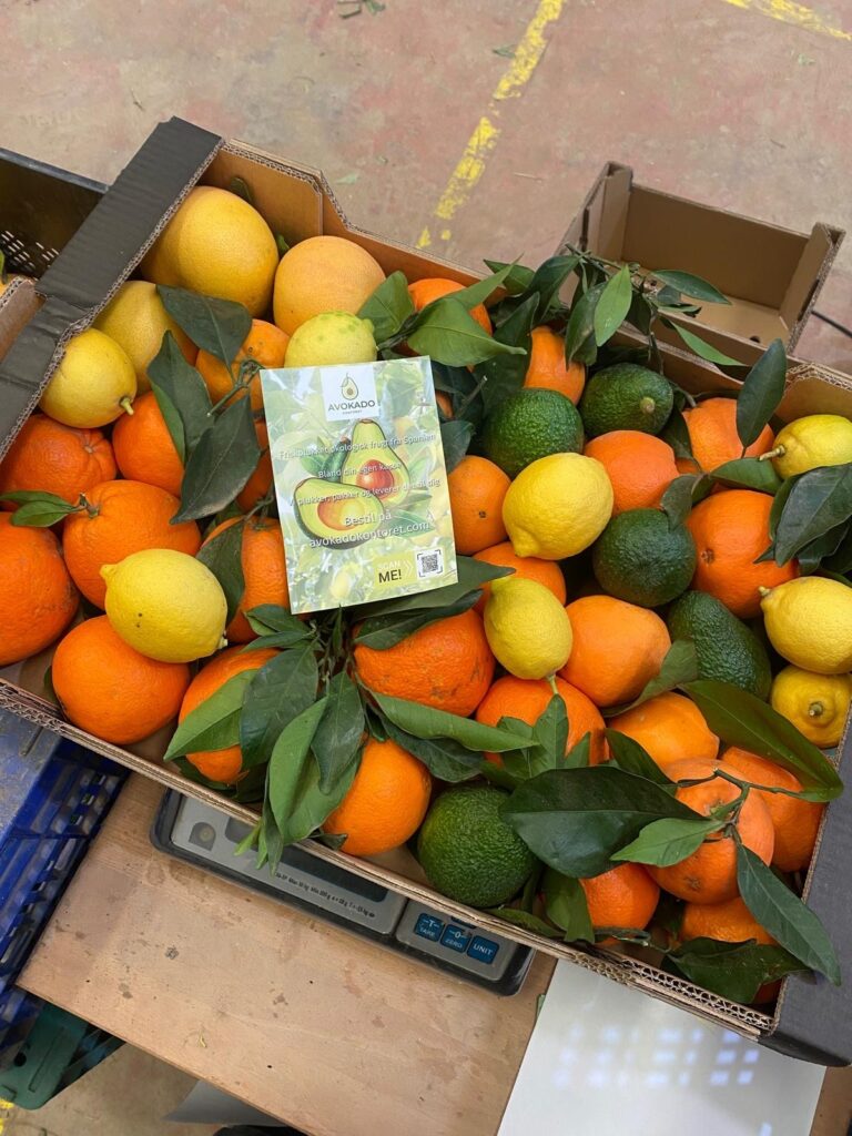 5 kg "tasting kasse"