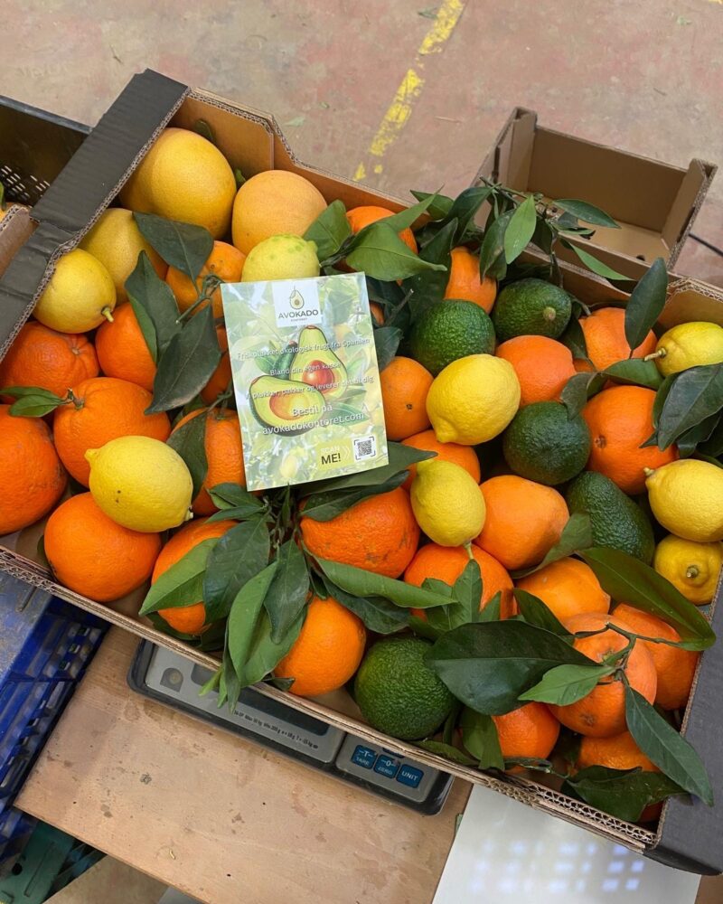 5 kg "tasting kasse"