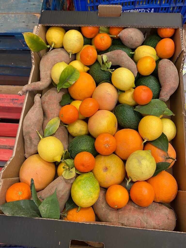 10 kg "tasting kasse"