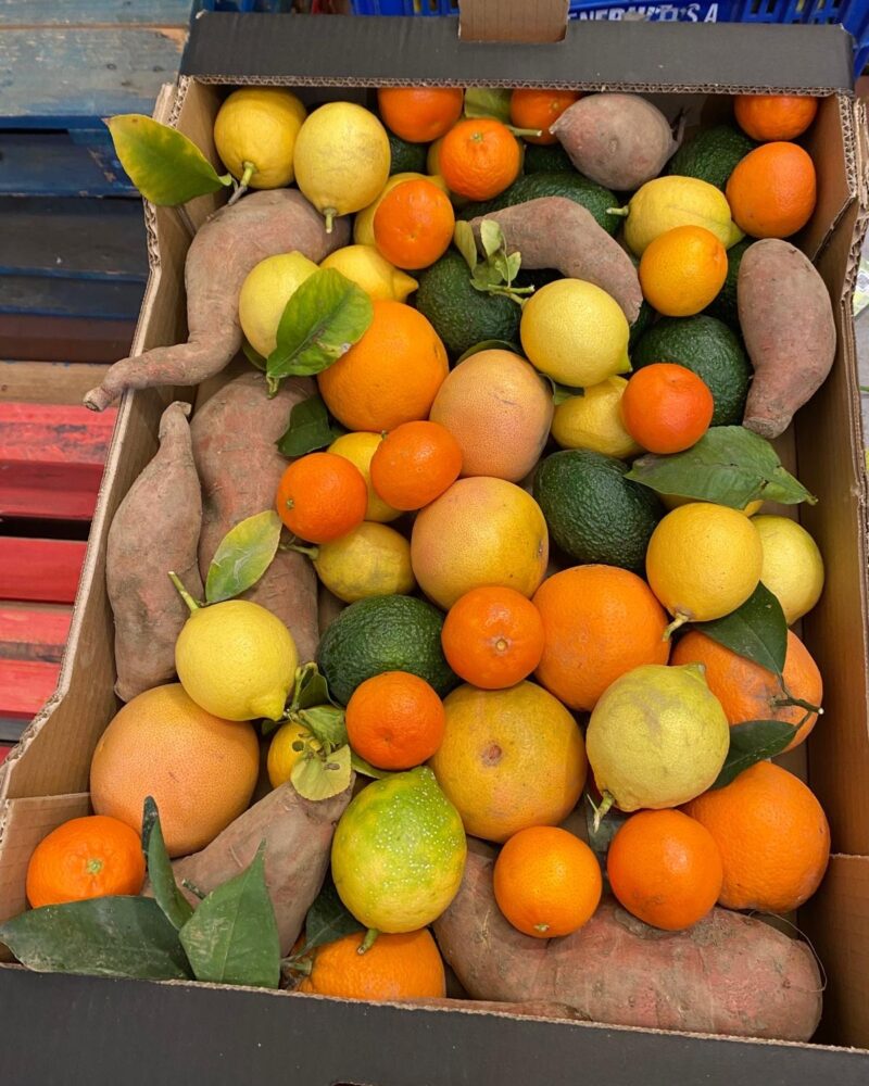 10 kg "tasting kasse"