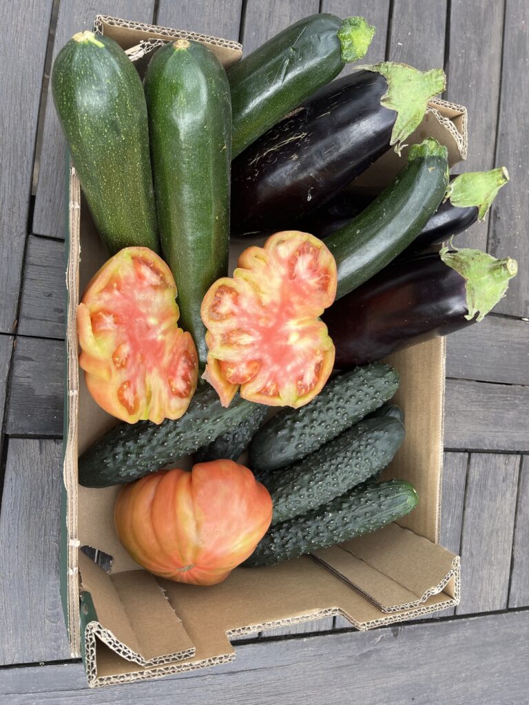 5 kg mix grøntsagskasse