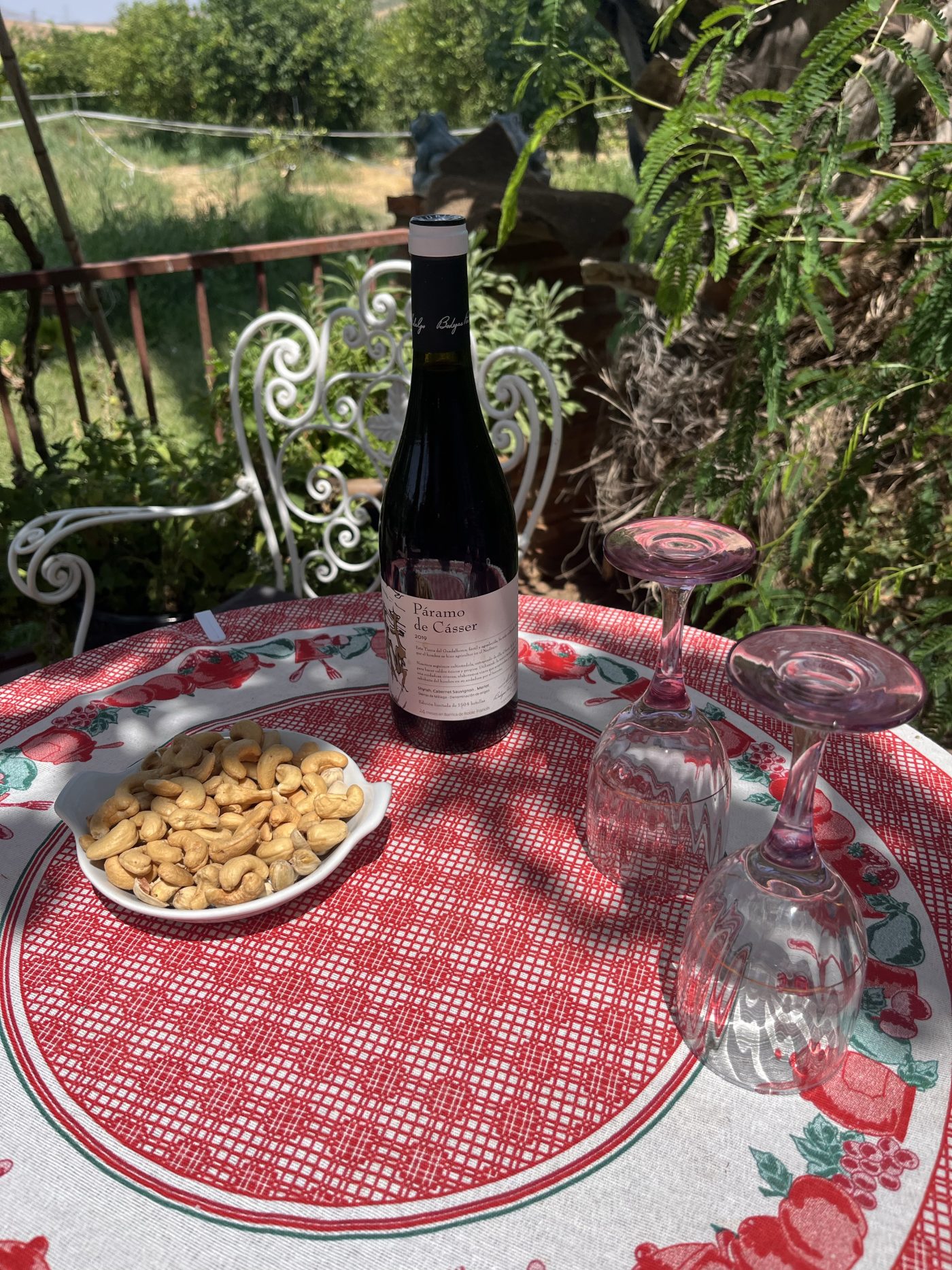 Vega del Geva Crianza - Rødvin
