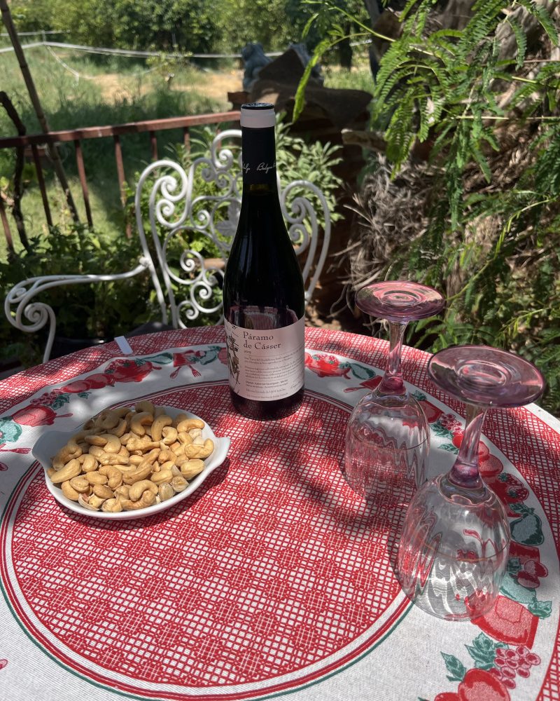 Vega del Geva Crianza - Rødvin