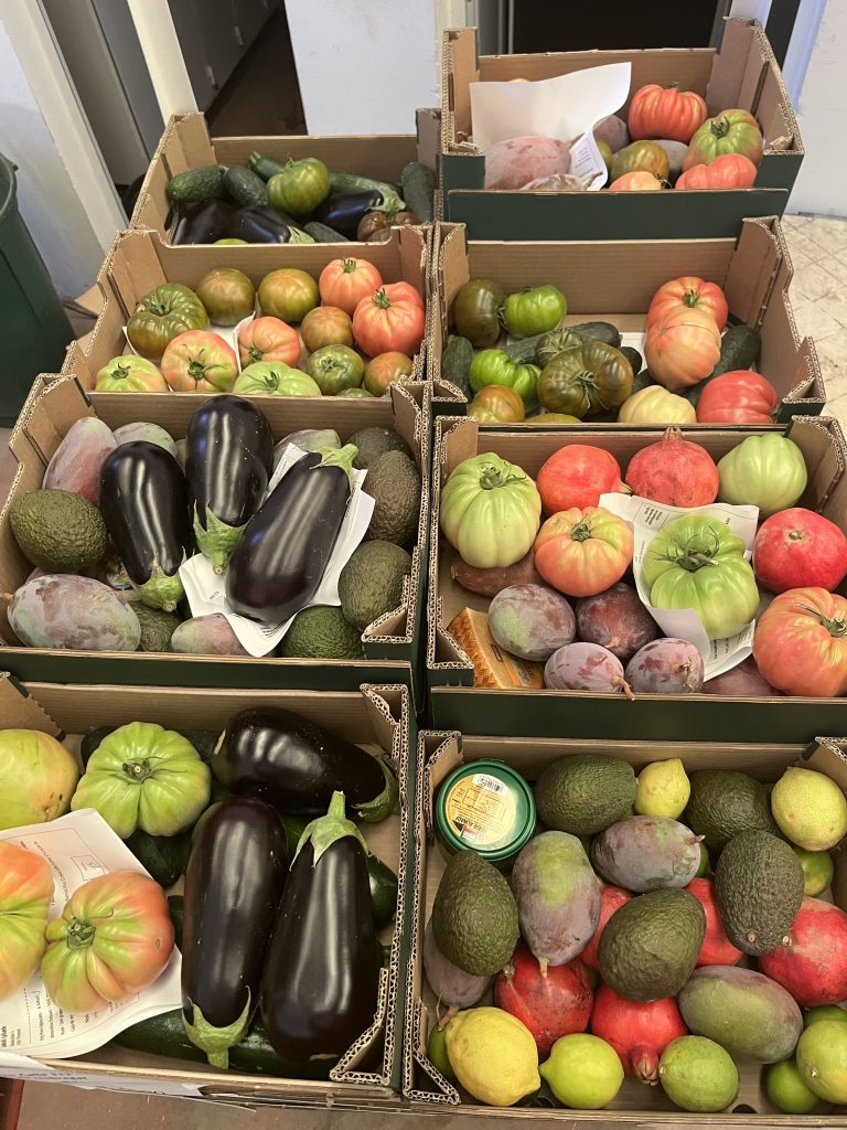 Økologisk Bland selv kasse