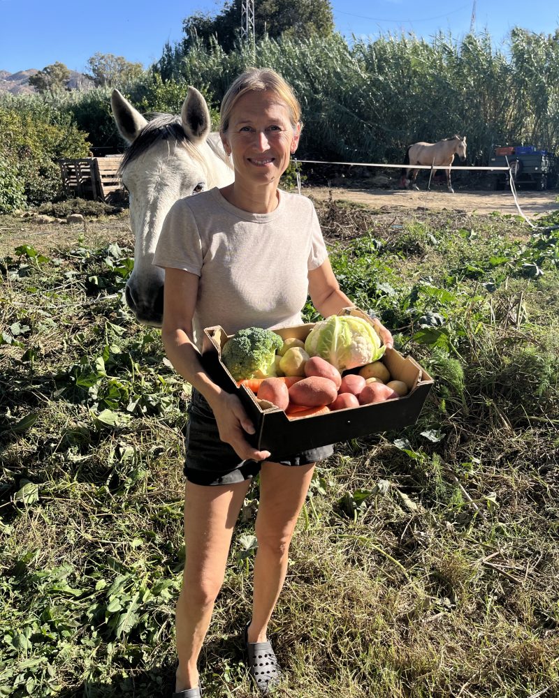 5 kg Vinterens grønt