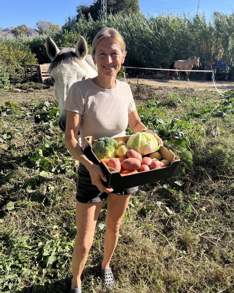 Øko forårsgrønt 5 kg