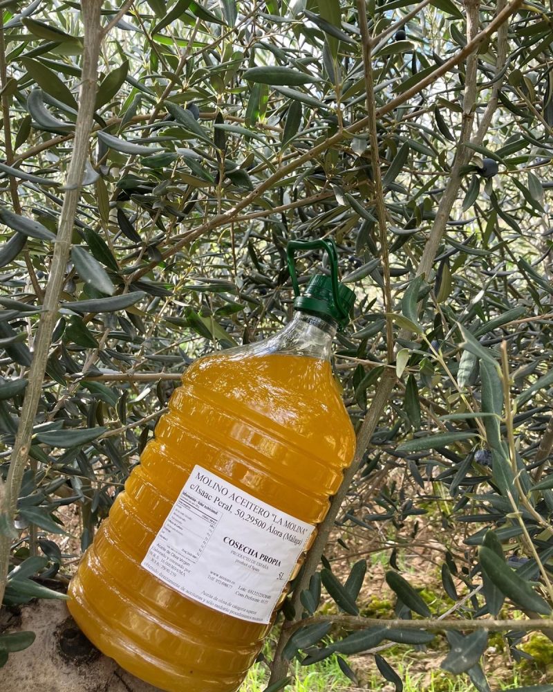 5 L friskpresset oliven olie