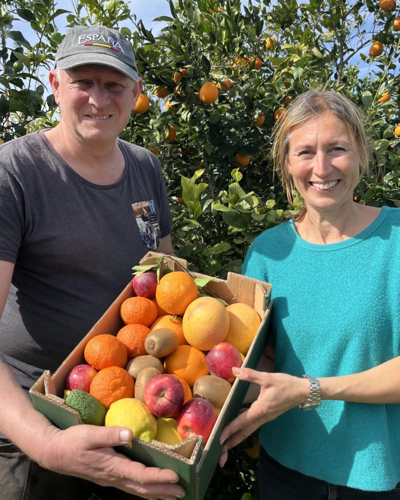 6 kg "tasting kasse"