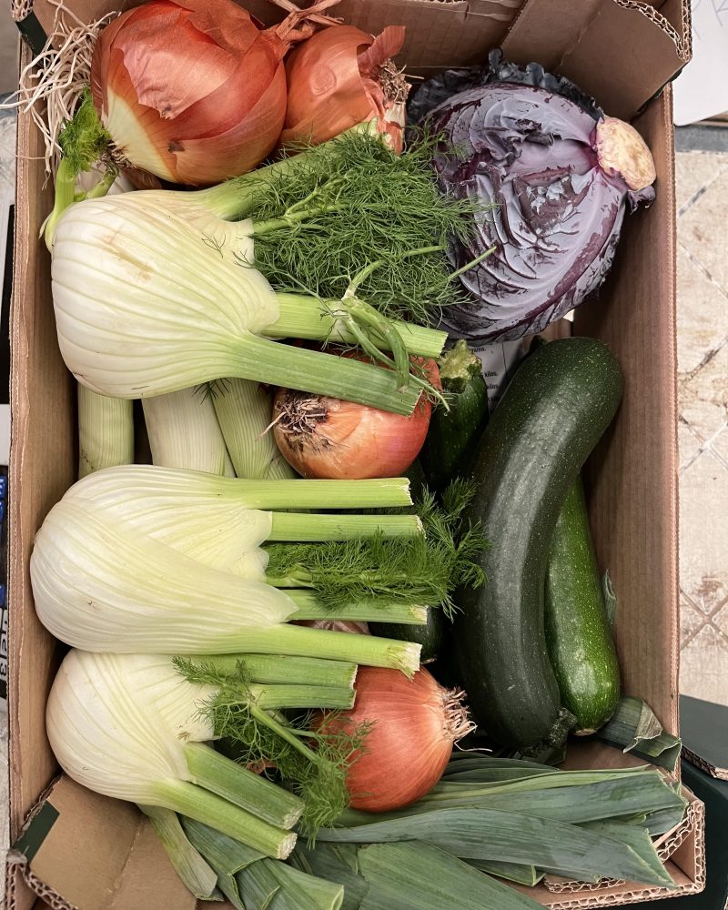 Øko forårsgrønt 5 kg