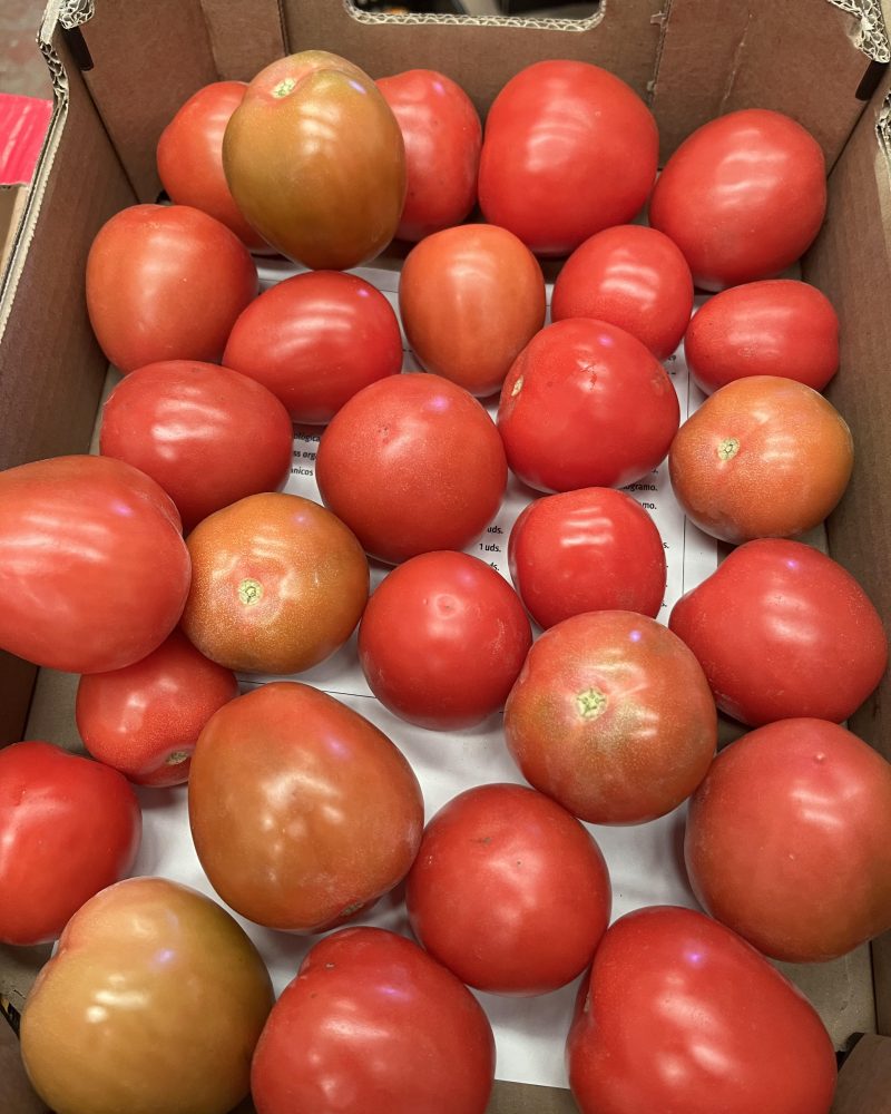 3 kg sæsonens spanske øko tomater