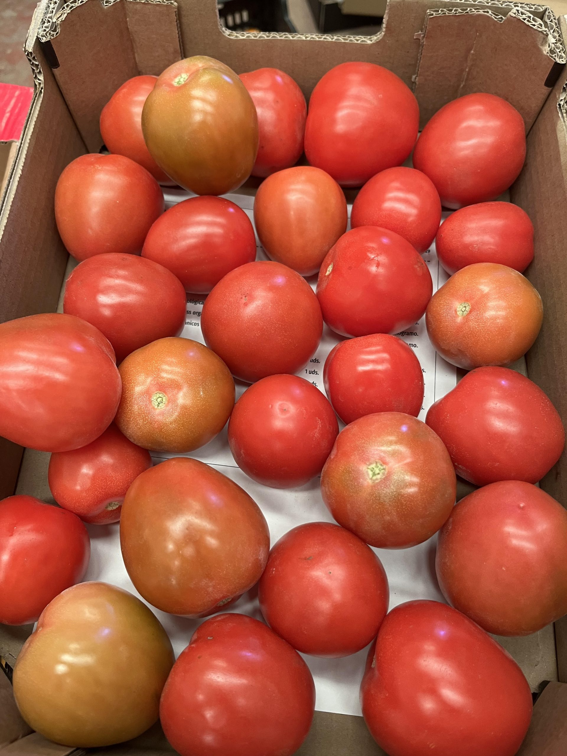 3 kg sæsonens spanske øko tomater