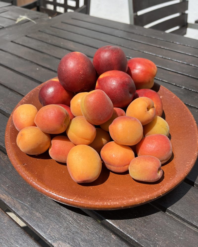 3 kg Øko stenfrugt-mix