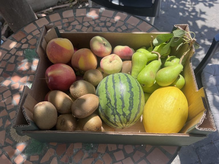 6 kg sommer mix