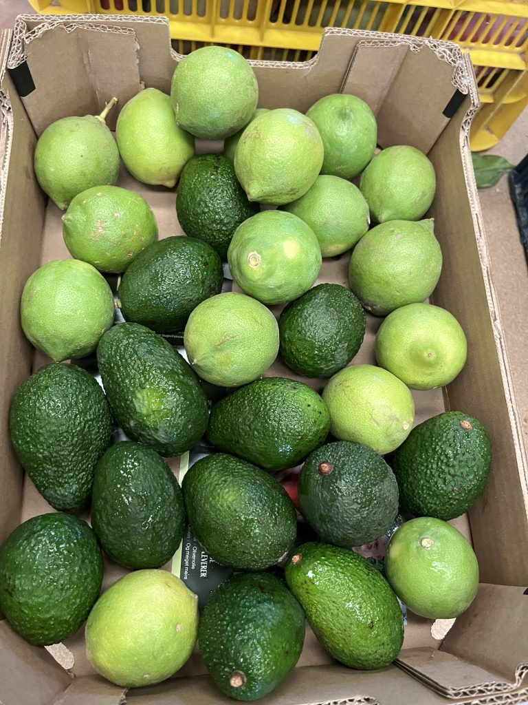 3.5 kg Øko Avokado/Citron