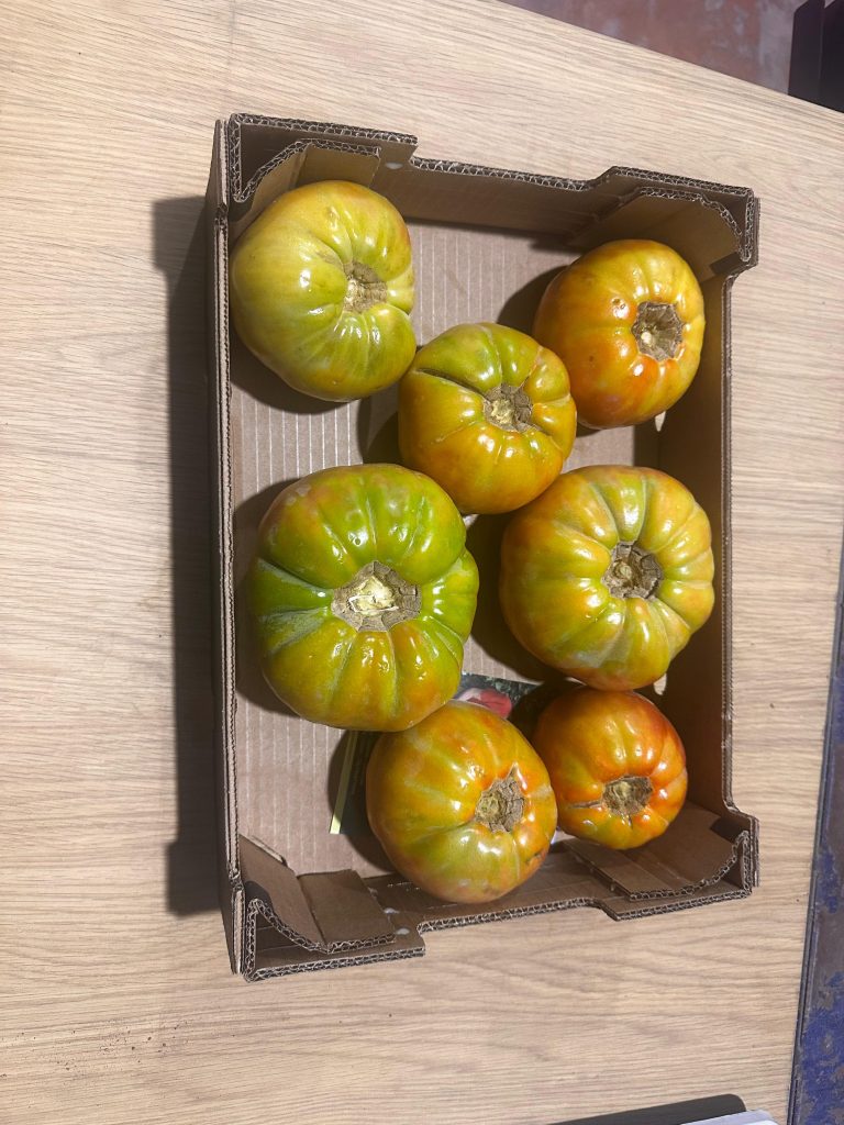 4 kg Castellano øko tomater