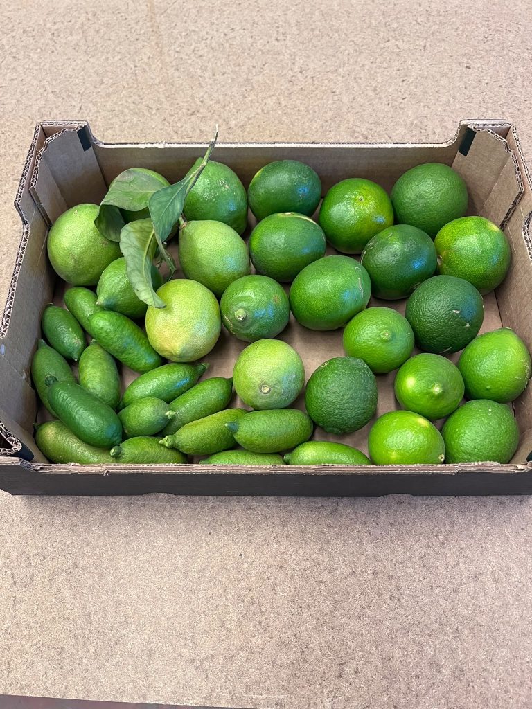 3 kg citrus mix de luxe