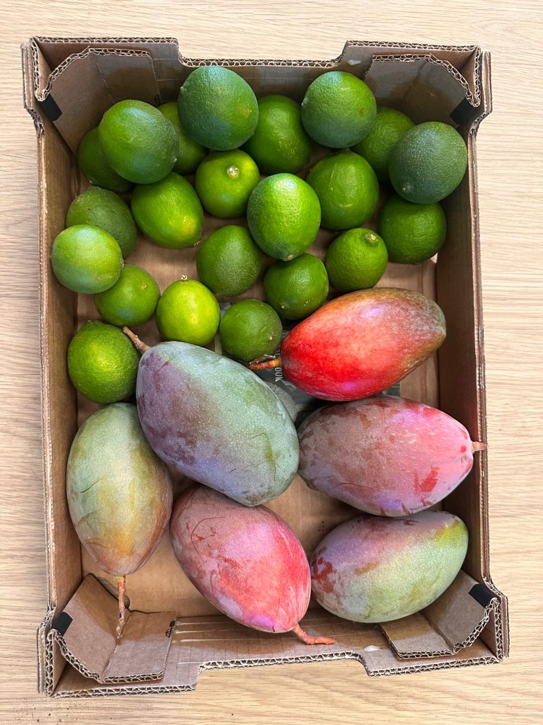 3.5 kg Mango/Lime