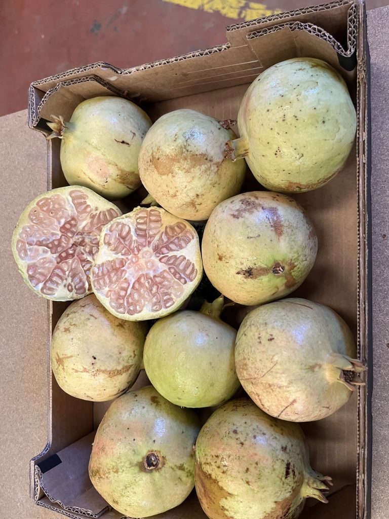 Øko 3 kg Granatæbler