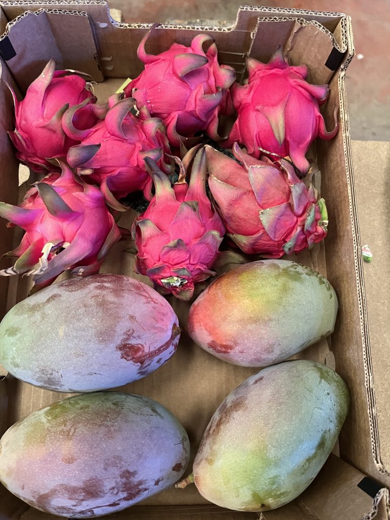 3.5 kg Mango/Dragefrugt