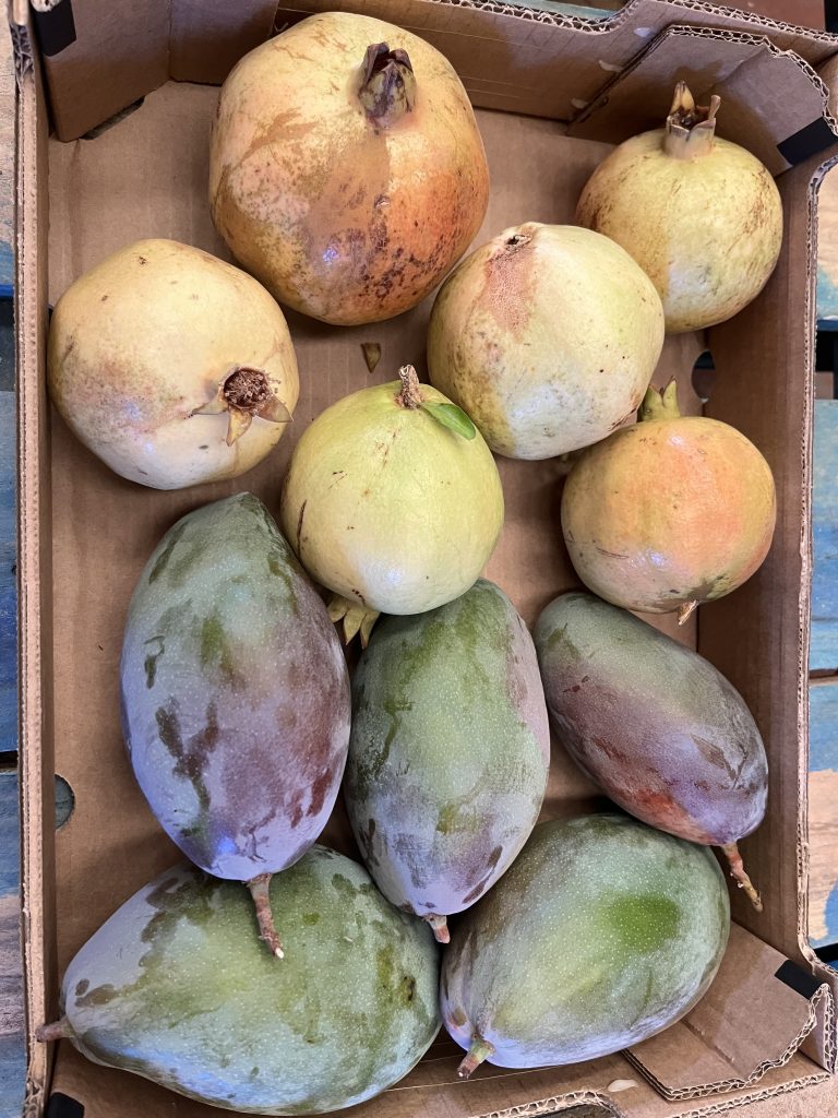 3.5 kg Mango/Granatæbler