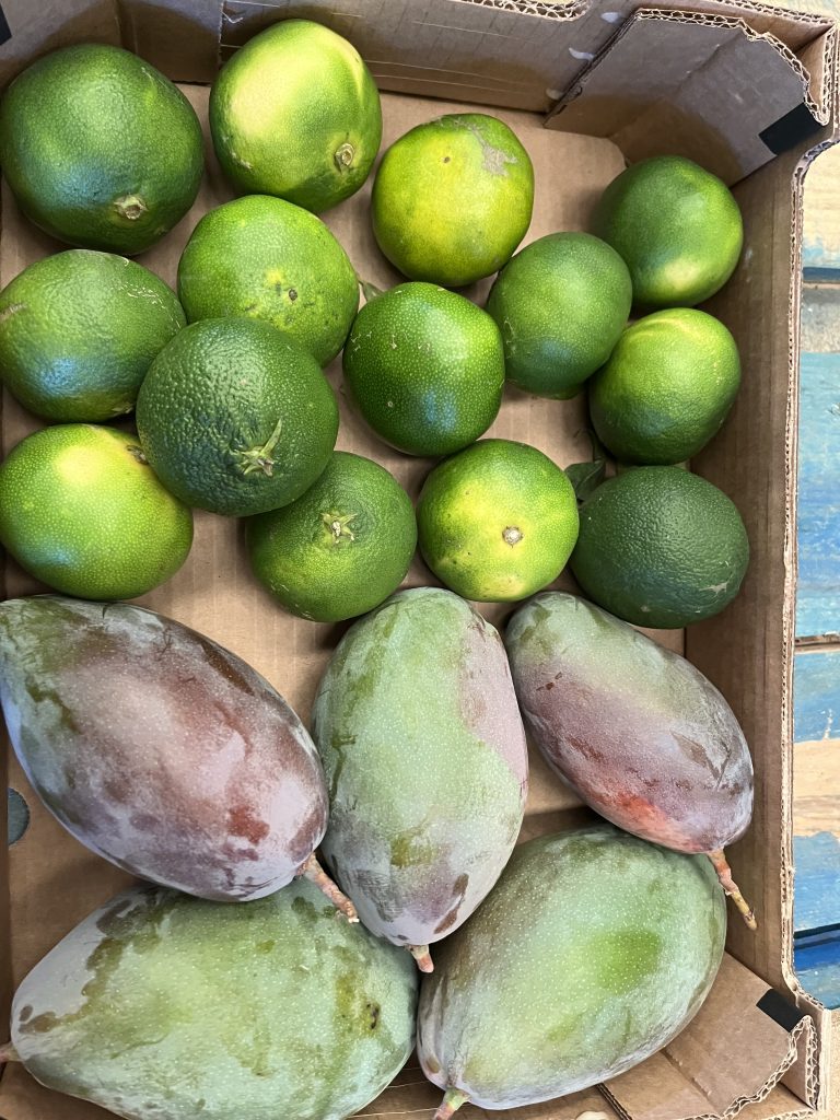 3.5 kg mango/mandarin