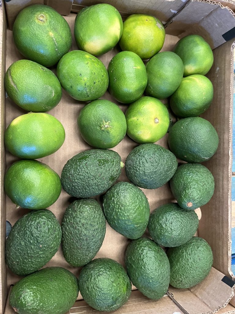 3.5 kg Avokado/Mandarin