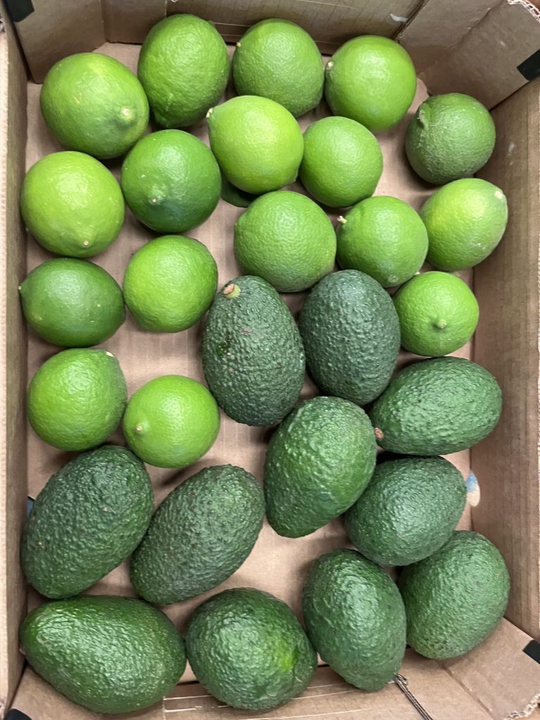 3.5 kg Avokado/Lime