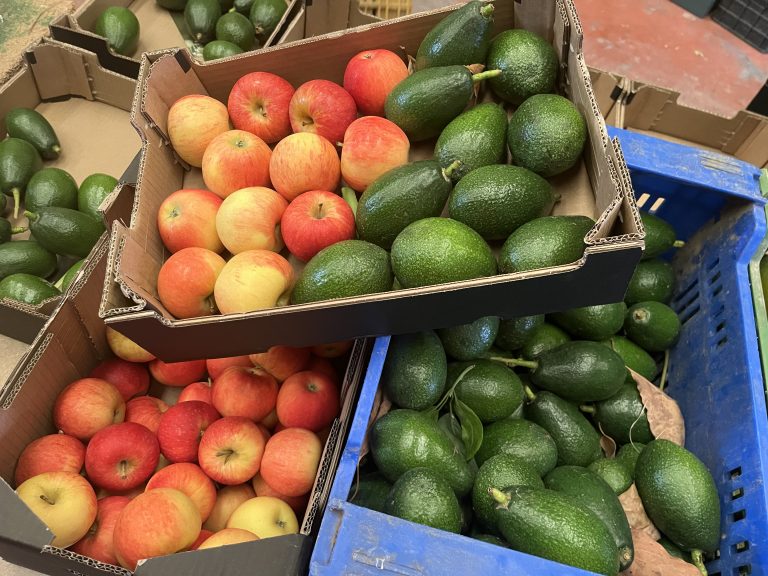 3.5 kg økologisk avokado/æble