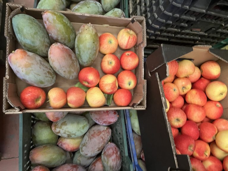3.5 kg økologisk mango/æble