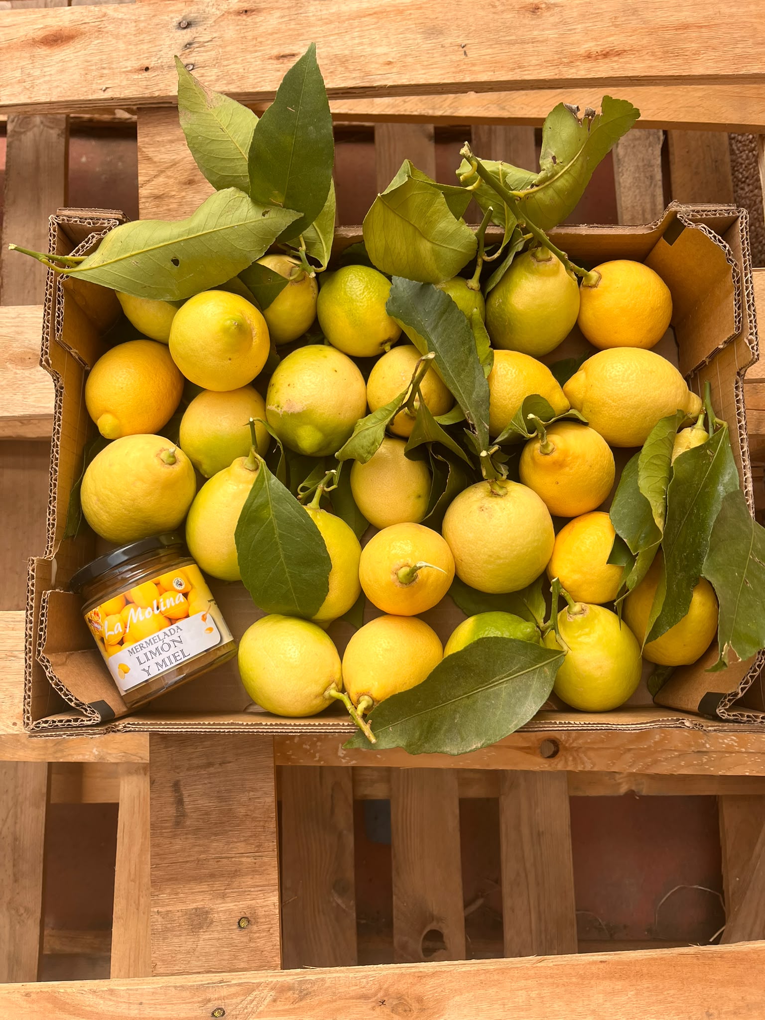 3 kg øko citroner + citron marmelade