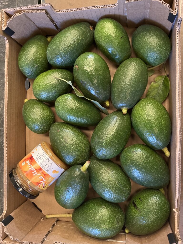 3 kg avokado + lille glas marmelade