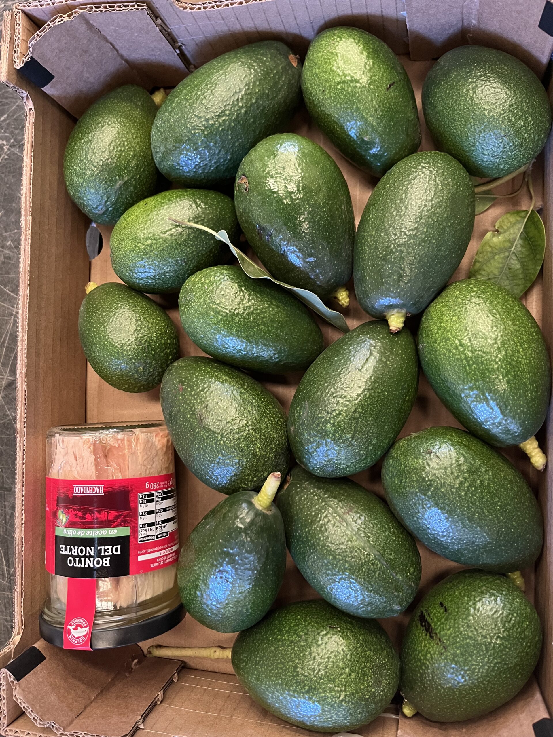 3 kg avokado + luksus tun