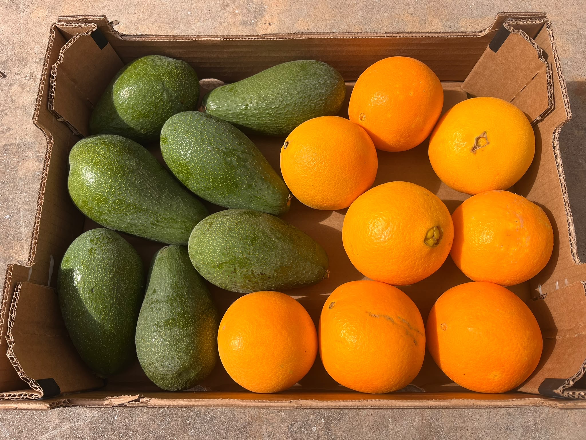 3.5 kg avokado + appelsin - Kundefavorit